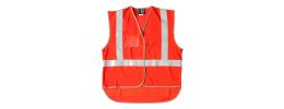 Border D/N Safety Vest