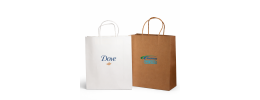 Paper Shopping Bag -With Paper Rope Handle