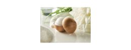 Round Bamboo Lip balm