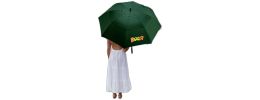 Stormy Umbrella