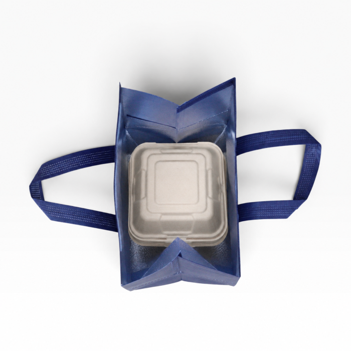 5L Insulated Reusable Bag