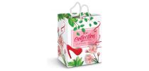 Large Laminated Paper Carry Bag - Full Colour