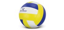 Volleyball Pro