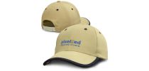 Springfield Cap