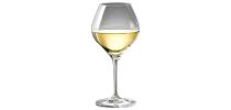 Amoroso Wine Glass Set of 2