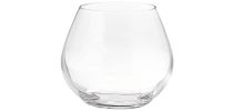 Amoroso Stemless Wine Set of 2