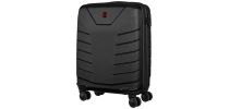 Pegasus Hardside Carry-on