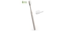 Toothbrush Cleidol