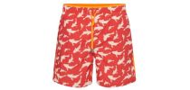 Belize Koi Swim Shorts