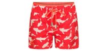 Belize Koi Swim Shorts Kids