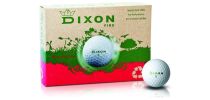 Dixon Fire