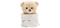 Large Teddy Bear