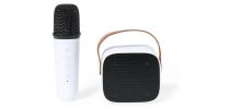 Karaoke Speaker Set