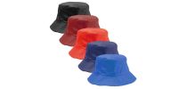 Reversible Hat Nesy