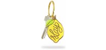Custom Design and Shape Metal Keyrings