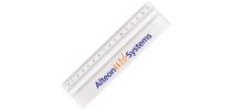 Magnifying Ruler