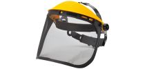 Browguard with Mesh Visor