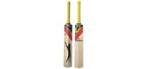 Slazenger V900 Fire Power Cricket