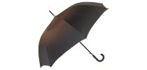 Executive Corporate Umbrella