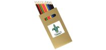 10Pk Natural Wood Full Size Colouring Pencil