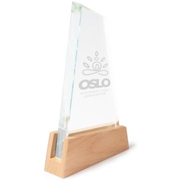 Navis Glass Trophy