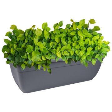 Decor Sorrento Self-Watering Plantpot Oblong 600mm