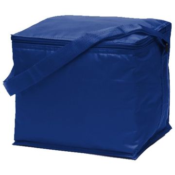 Basic 6 Pack Cooler