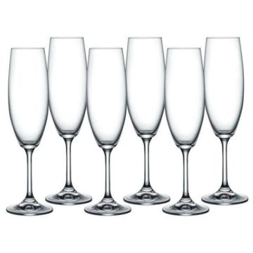 Lara Champagne Flute Set of 6