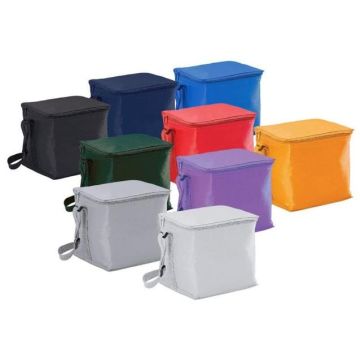 Small Cooler Bag