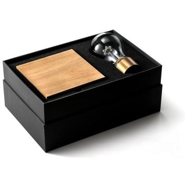 Royal Flyte Light - Set the Light bulb free