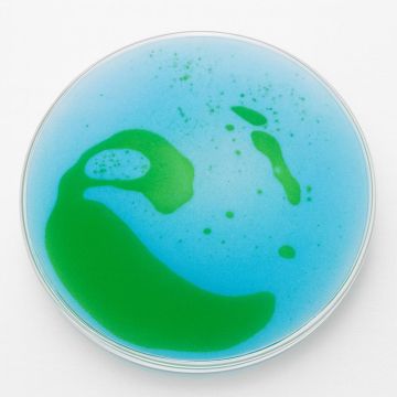 Liquid Coaster