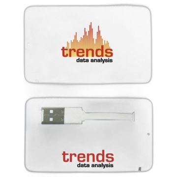 Business Card USB 2.0 Flash Drive