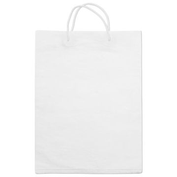 Paper Shopping Bag