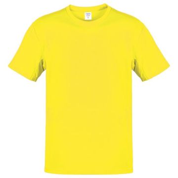 Adult Color T-shirt Hecom