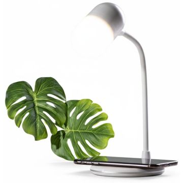 Multifunction Lamp Lerex