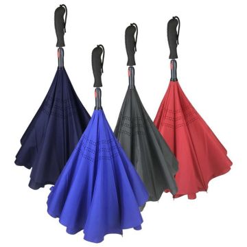 The Sky Inverted Umbrella