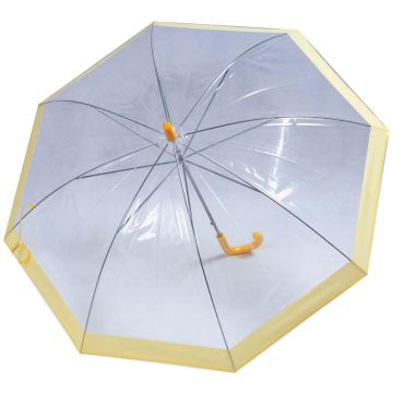 Iceland Clear Plastic Umbrella