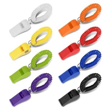 Coil Whistle
