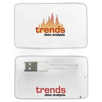 Business Card USB 2.0 Flash Drive