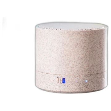 Speaker Cayren