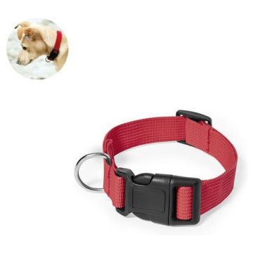 Mastif Pet Collar