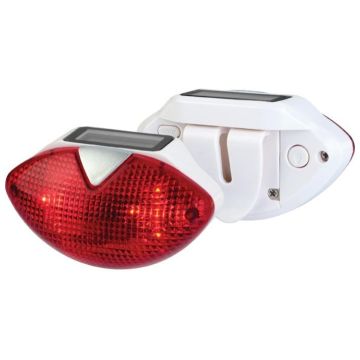 Flash Walk Pedometer