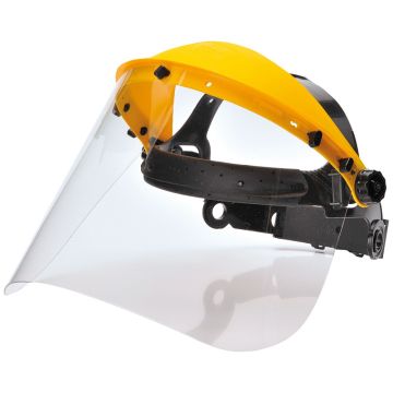 Browguard with Clear Visor