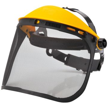 Browguard with Mesh Visor