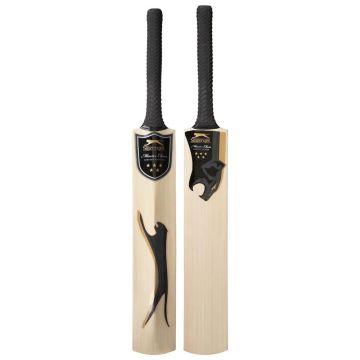 Master Class Cricket Bat