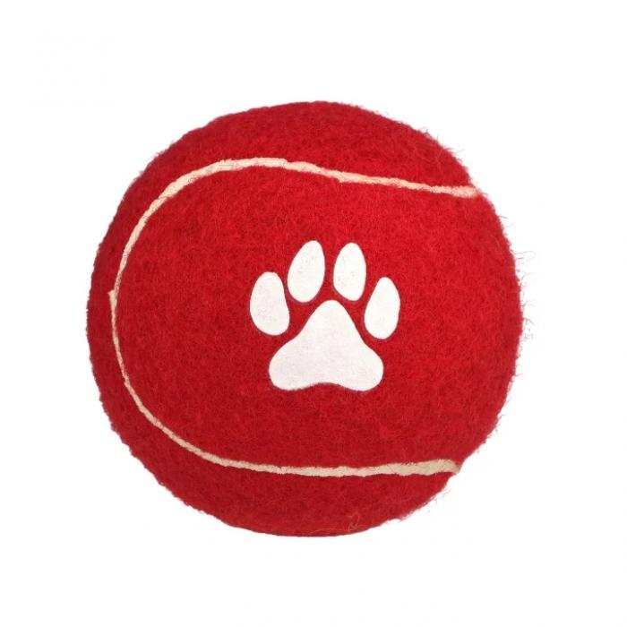 Dog Fetch Ball