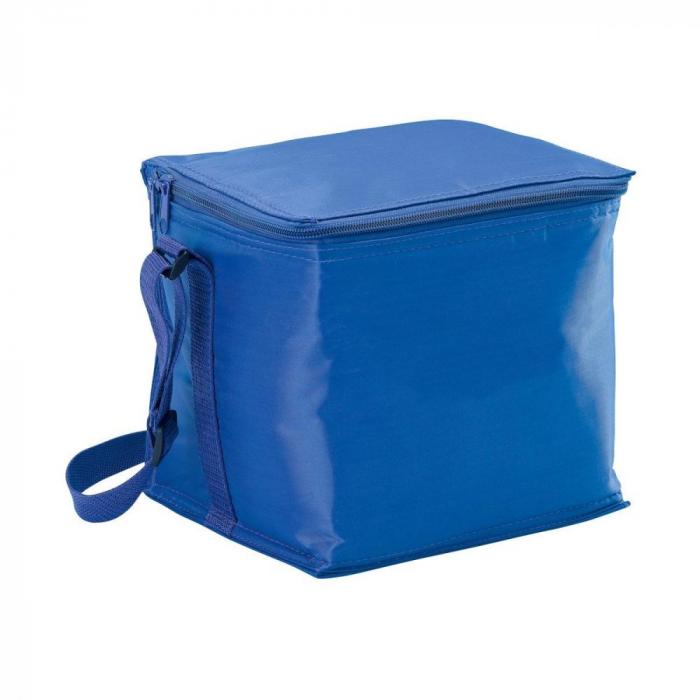 Small Cooler Bag
