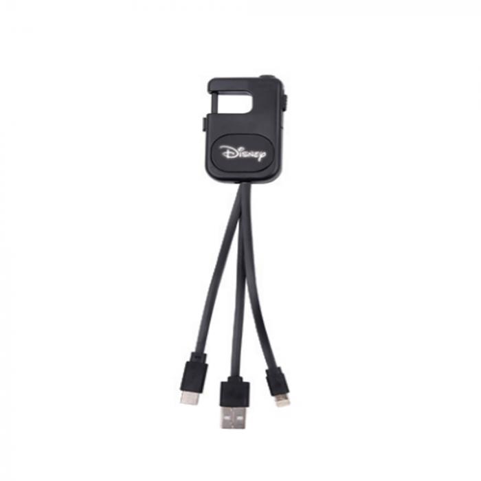 Delton Charging Cable