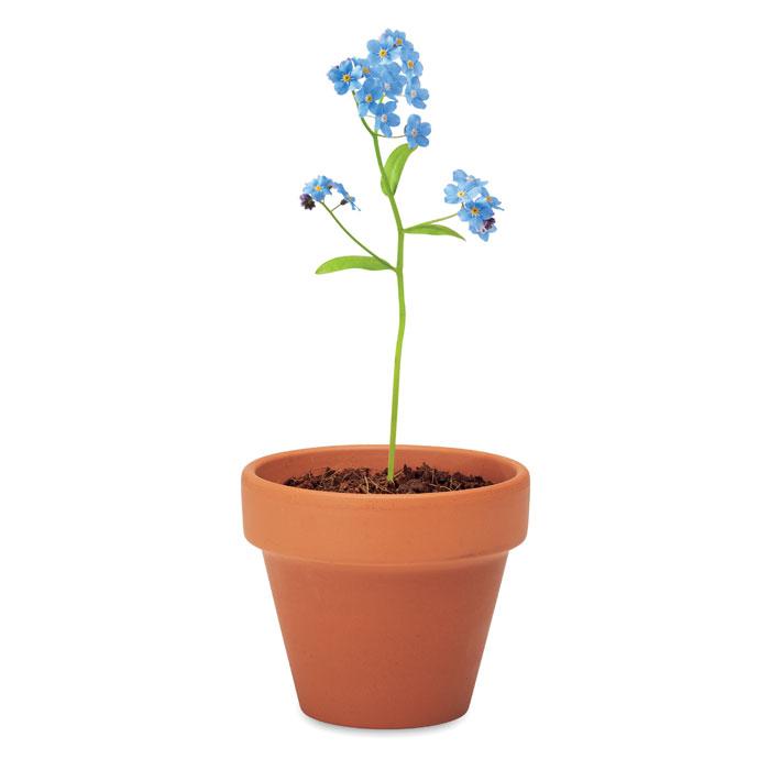 Forget Me Not Pot