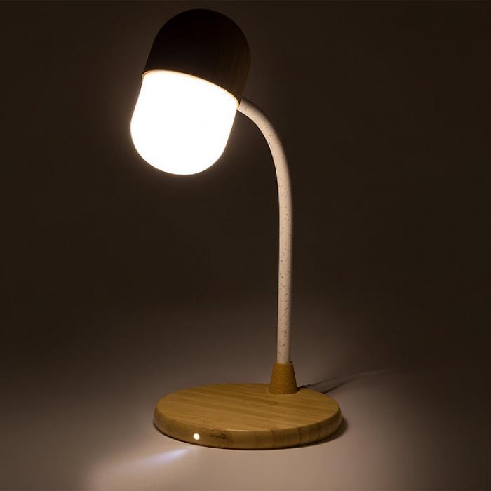 Limited Edition Multifunction Lamp